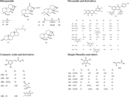 Figure 1. Structure of isolated and identified compounds.