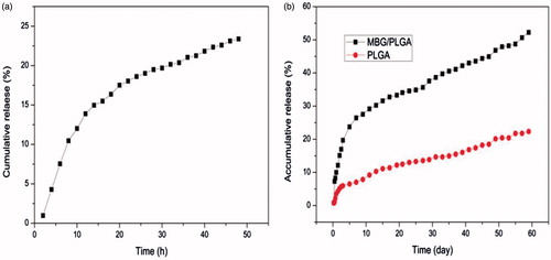 Figure 5. In vitro vancomycin release behavior of the MBG (a) and scaffolds (b) incubated in PBS with a pH of 7.3 at 37 °C.