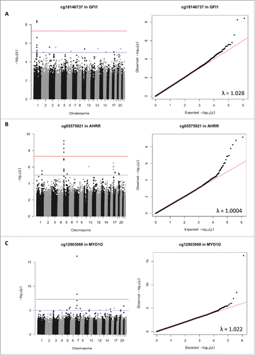 Figure 1. Manhattan and quantile-quantile plots (QQ-plots) of the results of genome-wide associations tests looking at genome-wide associations between 3 candidate CpG sites sensitive to smoking [cg18146737 in the GFI1 gene on the chromosome 1 (panel A), cg05575921 in the AHRR gene on the chromosome 5 (panel B), and cg12803068 in the MYO1G gene on the chromosome 7 (panel C)] and genotype at 606,588 SNPs throughout the genome in 736 participants of the California Childhood Leukemia Study. The genomic inflation estimation factors lambda are reported on the plots. On the Manhattan plots, the red line corresponds to the canonical threshold of genome-wide significance [-log10(5 × 10−08)], and the blue line represents suggestive significance [-log10(10−05)].