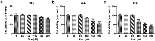 Figure 1. Pino decreased the cell viability of A549 cells. Cell viability was detected using CCK-8 assay at (a) 24 h, (b) 48 h and (c) 72 h. **P < 0.01, ***P < 0.001 versus Pino 0 µM