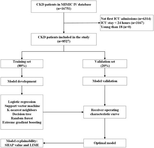 Figure 1. The flowchart of patient selection. MIMIC IV: Medical Information Mort for Intensive Care IV; ICU: intensive care unit; CKD: chronic kidney disease; LIME: Local Interpretable Model-Agnostic Explanations.