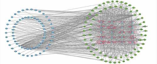 Figure 10. Compounds-targets-pathways network. Light blue nodes represent active compounds; red triangle nodes represent KEGG pathways; green nodes represent disease-related targets. Lines in the figure represent the interaction between two nodes