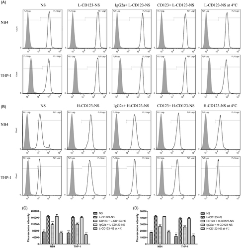 Figure 3. Quantitative determination of the cellular uptake of each Coumarin-6-loaded NS group by NB4 and THP-1 cells in vitro. (A) The uptake of L-CD123-NS (final Coumarin-6 concentration of each sample was 40 ng/ml) in NB4 and THP-1 cells. (B) The uptake of H-CD123-NS (final Coumarin-6 concentration of each sample was 10 ng/ml) in NB4 and THP-1 cells. (C) Summary of L-CD123-NS cellular association in NB4 and THP-1 cells. (D) Summary of H-CD123-NS cellular association in NB4 and THP-1 cells. ∗∗∗Indicate p < .001 versus the CD123-NS group, each bar represents mean ± SD (n = 3). CD123 + and IgG2a + mean the prior presence of free anti-CD123 antibody or IgG2a isotype control antibody for competition experiments.