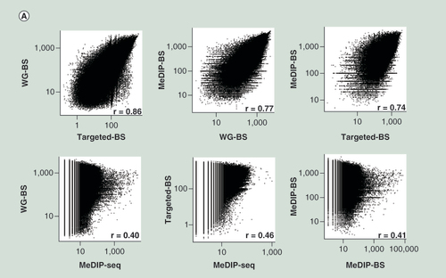 Figure 4.  Comparison of DNA methylation levels among the four different methods.Spearman correlation analysis for L (A) and S (B) samples. The three bisulphite conversion-based methods showed relatively high correlations; however, MeDIP-seq showed very low correlation to the other methods. (C) Concordance with WG-BS. The top 10% most highly methylated bins in the L sample data for each method were compared. MeDIP-BS showed the highest concordance.