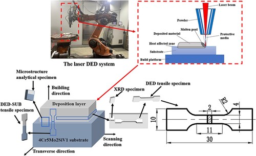 Figure 2. Photograph and schematic diagrams of the DED experiment and specimen processing.