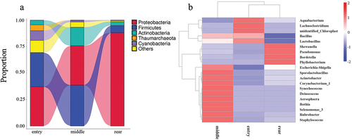 Figure 5. The Sankey diagram (a) and Heatmap analysis (b). The heatmap colors represent the relative percentage of the microbial genus assignments within each sample. The samples with the highest and lowest bacterial levels are in red and blue, respectively.