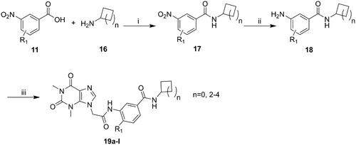 Scheme 2. General synthesis of compounds 19a–i. Reagents and conditions: (i) HATU, DIEA, r.t., 24 h; (ii) Fe, NH4Cl, 90 °C refluxed, 3h; (iii) HATU, DIEA, r.t., 24 h.