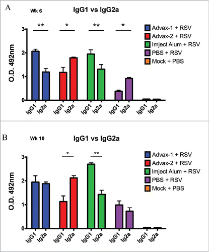 Figure 3. The IgG isotype of the anti-RSV antisera. The specific IgG isotype was assayed from the pooled serum collected at week 8 from each mouse group at a dilution of 1:1000 and reported as specific O.D. P-values were calculated between the IgG1 and IgG2a titers within a single group. Groups indicated with (*) have p < 0 .05 and the ratio of IgG1:IgG2a is <1 ; Groups indicated with (**) also have p < 0 .05 and ratio of IgG1:IgG2a is >1 . Panel A: week 6; Panel B: week 10.