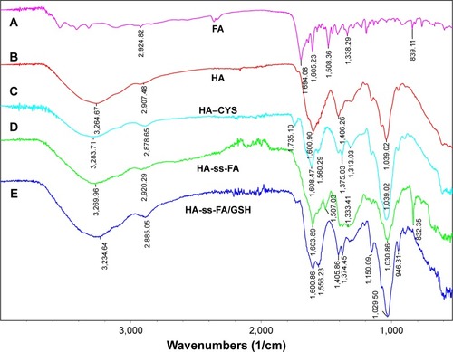 Figure 5 FTIR spectrum of (A) FA, (B) HA, (C) HA–CYS, (D) HA-ss-FA conjugate, and (E) the lyophilized product of HA-ss-FA after incubation with 20 mM GSH solution for 20 h.Note: HA-ss-FA/GSH, the lyophilized product of HA-ss-FA after treatment with GSH.Abbreviations: CYS, cystamine; FA, folic acid; FTIR, Fourier transform infrared; GSH, glutathione; HA, hyaluronic acid.