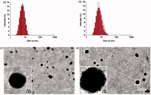 Figure 1. Thin-film method to prepare empty POCA4C6 micelles (PM) and curcumin-loaded POCA4C6 micelles (CPM). Size distributions of (a) PM and (b) CPM based on dynamic light scattering. Transmission electron micrographs of (c) PM and (d) CPM. (Scale bar, 10 nm, 1 nm in inset).