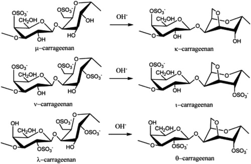 Figure 1. Ideal carrageenan structures. Figure from Jiao et al. (Citation2011), an open access article distributed under the Creative Commons Attribution License (CC BY 3.0).