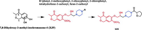 Figure 71. Chemical structures of 7,8-dihydroxy-3-methyl-isochromanone-4 (XJP) and its derivatives.