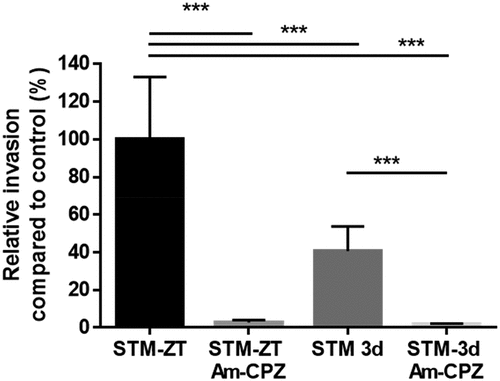 Figure 4. Invasion of the STM-ZT and STM-3d strains impaired for entry by pharmaceutical means.