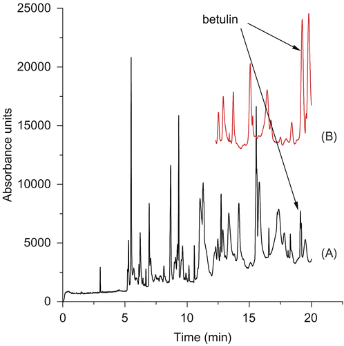 Figure 2.  A) Electropherogram of the Colliguaja integerrima infusion; B) Electropherogram of the Colliguaja integerrima infusion spiked with betulin. Conditions: buffer tetraborate 20 mM, pH 9.3; injection: hydrodynamic mode, 0.5 psi, 5 seconds; capillary temperature: 25ºC; Diode array detection: 208 nm.