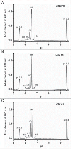 Figure 6. Assessment of accelerated stability studies using ChromiCE. mAb-2 was incubated at 45°C and processed for ChromiCE to provide quantitative charge variant analysis at specific time points.