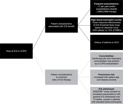 Figure 2 The role of ICS in patients with COPD.