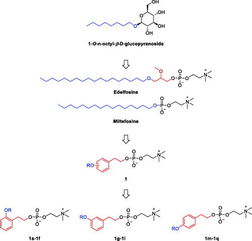 Figure 2. Design rational of phenethyl-based edelfosine analogs as antitumor lipids.