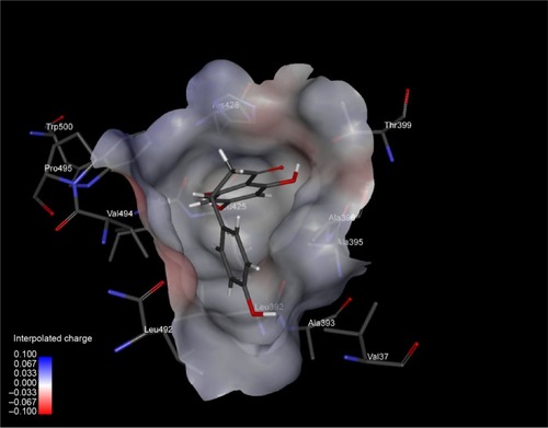 Figure 2 An inside view of binding pocket of HCV-NS5B, with a small drug molecule (naringenin) firmly bound.