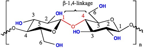 Figure 1. Cellulose structure: single repeat unit with a β-1,4-glycosidic linkage.