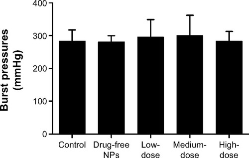 Figure 10 Effect of Tan IIA-NPs on wound healing in the model of anastomotic healing.Notes: The results are presented as mean ± standard deviation (n=5). High- (n=5), medium- (n=5), and low-dose (n=5) groups showed no significance in burst pressure compared with the control and drug-free NP groups.Abbreviations: NPs, nanoparticles; Tan IIA-NPs, tanshinone IIA liquid NPs.