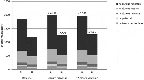 Figure 6. Total hip abductor muscle volume. Note: SL: sound limb; RL:residual limb.