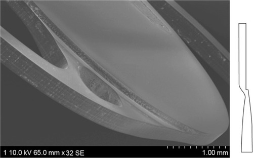 Figure 2 The MX60 (Bausch and Lomb Incorporated, Rochester, NY, USA) intraocular lens. The diagram shows the posterior surface facing toward the right side of the page. The haptics are offset anteriorly with respect to the optic body, which enables consistent posterior movement of lens optic under haptic compression. Image courtesy of David Spalton, FRCS, FRCP, FRCOphth. © 2013 Dove Medical Press Ltd. Reproduced with permission from Packer M, Fry L, Lavery KT, Lehmann R, et al. Safety and effectiveness of a glistening-free single-piece hydrophobic acrylic intraocular lens (enVista). Clin Ophthalmol. 2013;7:1905–1912.Citation28