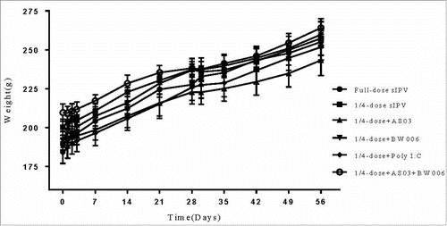 Figure 2. The weight of rats 3 days after the first immunization and every subsequent 7 days.