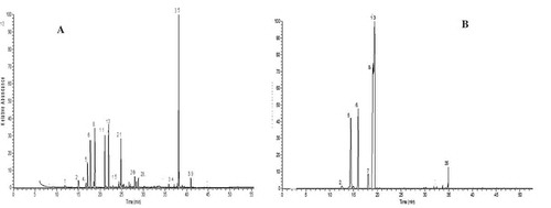 Figure 1. Volatile extracts chromatograms for Egyptian parsley isolated by (a) hydrodistillation and (b) SPME.