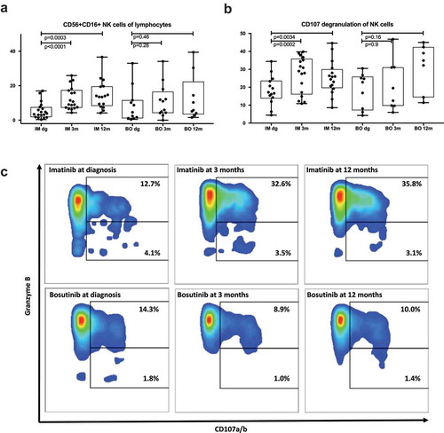 Figure 3. Imatinib therapy increases the proportion and function of NK cells. NK cells were characterized by flow analysis and functional assays. Imatinib-treatment significantly increases the proportion of NK cells from lymphocytes (a), as well as increase their responsiveness to K562-stimulation measured by degranulation (b-c). Non-parametric Wilcoxon signed-ranked test was performed to find the difference in functional assay at different timepoint and data are presented as boxplots.