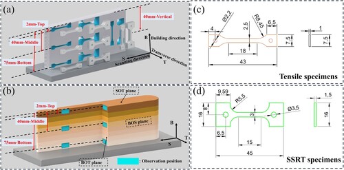 Figure 3. (a) Mechanical property test sampling position, (b) Microstructure observation position, (c) Tensile specimen size, (d) SSRT specimen size (Unit: mm).