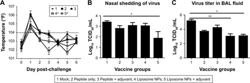 Figure 2 Body temperature and IAV titration in vaccinated and virus-challenged pigs.Notes: Animals were vaccinated using liposome entrapped, ten influenza conserved peptide cocktail vaccine intranasally and challenged with a virulent SwIAV H1N1-OH7. (A) Graph showing the average rectal temperature recorded daily post-challenge infection. The dashed line at temperature 104°F indicates fever in pigs. Challenge SwIAV H1N1-OH7 titer in (B) nasal swab at DPC 4 and (C) BAL fluid at DPC 6. Temperature data were analyzed by repeated measure ANOVA using Friedman test followed by Dunn’s pairwise comparison. Virus titer data were analyzed by non-parametric Kruskal-Wallis test followed by Dunn’s post hoc test. Each bar represents the mean and SEM of 4–6 pigs. Asterisk refers to statistical difference between two indicated pig groups (*P<0.05 and **P<0.01).Abbreviations: BAL, bronchoalveolar lavage; DPC, day post-challenge; IAV, influenza A virus; NPs, nanoparticles; SwIAV, swine influenza A virus; SEM, standard error of mean; TCID, tissue culture infective dose.