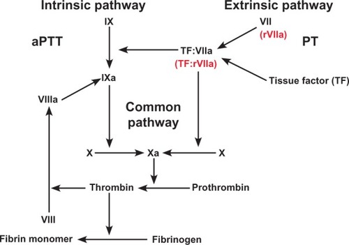 Figure 2 Coagulation cascade and the effects of recombinant activated Factor Vll (rFVlla).