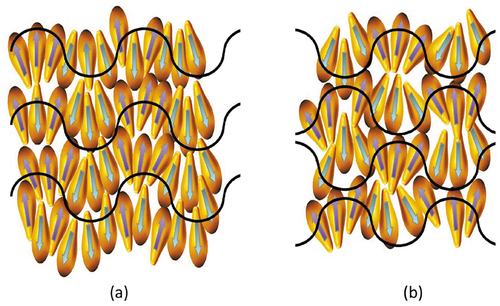 Figure 15. (Colour online) Potential structures of modulated splay nematic phases, (a) in-phase modulations, and (b) out-of-phase modulations.