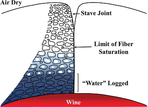 Figure 2. Moisture relationships through a stave of a barrel in use for wine maturation (Singleton, Citation1995).