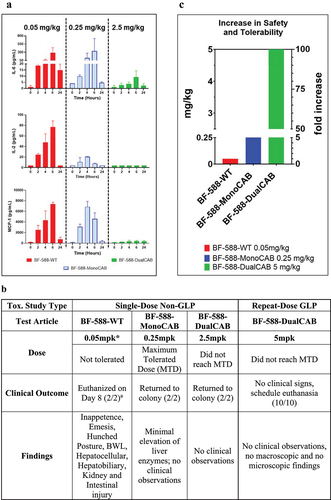 Figure 5. Cytokine release and tolerability of EpCAM x CD3 bispecific antibodies in cynomolgus monkeys. Cytokinerelease and tolerability of EpCAM × CD3 bispecific antibodies in a single- and repeat-dose toxicity study in cynomolgus monkeys. Clinical outcomes of the maximum tolerated or maximum tested doses of BF-588-WT, BF-588-MonoCAB, and BF-588-DualCAB in a single-dose non-GLP toxicity study in cynomolgus monkeys and of the maximum tested dose of BF-588-DualCAB in a repeat-dose GLP toxicity study in cynomolgus monkeys. (a) Cytokine release in cynomolgus monkeys treated with a single dose of BF-588-WT (0.05 mpk, red bars), BF-588-MonoCAB (0.25 mpk = MTD, blue bars) or BF-588-DualCAB (2.5 mgk= max. dose tested, green bars). Cytokine concentration in the monkey serum was measured 0–24 hours after treatment as indicated.IL-2: Interleukin-2; IL-6: interleukin-6 and MCP-1: monocyte chemoattractant protein-1.X-axis: time after dosing in hours; y-axis: cytokine concentration in pg/mL. (b) Summaryof EpCAM x CD3 bispecific antibodies-related toxicity and clinical outcome. Major clinical findings in cynomolgus monkeys treated with the maximum tolerated dose or maximum dose of BF-588-WT,BF-588-MonoCAB and BF-588-DualCAB in a single-dose toxicity study and in a 1-month repeat-dose once-weekly dosing (five doses total) of BF-588-DualCAB in cynomolgus monkeys. (c) Increase in tolerability of CAB EpCAM T-cell engagers in cynomolgus monkeys. BF-588-WT was not tolerated at 0.05 mpk (only dose tested). The MTD for BF-588-MonoCAB was determined to be 0.25 mpk. (5-fold improvement over the wild type). BF-588-DualCAB clone was very well-tolerated at 5 mpk and the MTD was not reached, indicating another ≥ 20-fold improvement over the MonoCAB and ≥ 100-fold improvement over the wild type EpCAM x CD3 TCE. x-axis: dose in mg/kg; y-axis: EpCAM x CD3bispecific antibodies. BF-588-WT, red bars; BF-588-MonoCAB, blue bars; BF-588-DualCAB, green bars. Abbreviations: MTD, maximum tolerated dose; MPK, milligrams per kilogram; BWL, bodyweight loss. a– number of animals.