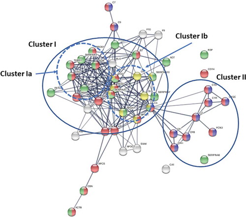 Figure 4. Pathway analysis of altered proteins in plasma from CWP/FM compared to controls [Citation48,Citation86,Citation87]. The protein-protein interaction (PPI) enrichment analysis was highly significant (P-value< 1.0e-16), indicating the proteins were at least partially biologically connected as two large groups (clusters I and II). Cluster I was dominated by proteins involved in regulation of cellular protein metabolic process (green: A2M, AHSG, FGB, FGG, GSN, HRG, PROS1, FETUB, SERPINA1, SERPINF2, and THBS1) and proteins involved in PTM (yellow: AHSG, APOA1, APOL1, C3, CP, FGG, SERPINA1, SERPINA10, and TF). The proteins in cluster II were involved in complement activation (blue: C1QC, C1R, C1S, C2, C3, CFB, CFH, CFI, and FCN3). Many proteins involved in the immune system (red: A2M, ACTB, APCS, APOA1, C1QC, C1R, C1S, C2, C3, C7, C9, CD14, CFB, CFH, CFI, F2, FCN3, FGB, FGG, GSN, HRG, ORM1, ORM2, PROS1, RBP4, and THBS1) were identified in the whole network including clusters I and II.