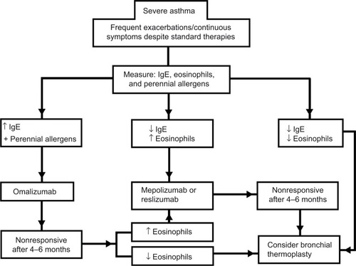 Figure 1 Suggested approach to the treatment of severe asthma beyond standard therapies.