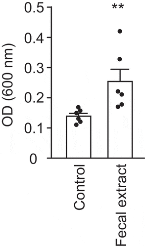 Figure 6. Effect of a fecal extract on V. cholerae biofilm formation