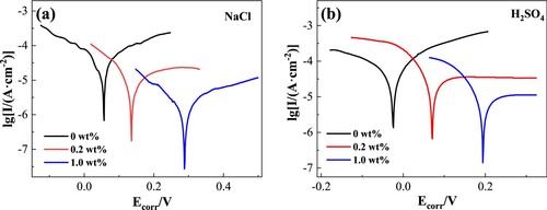 Figure 8. Polarization curves of PA12 and its composites in (a) 3.5 wt% NaCl and (b) 5 wt% H2SO4.