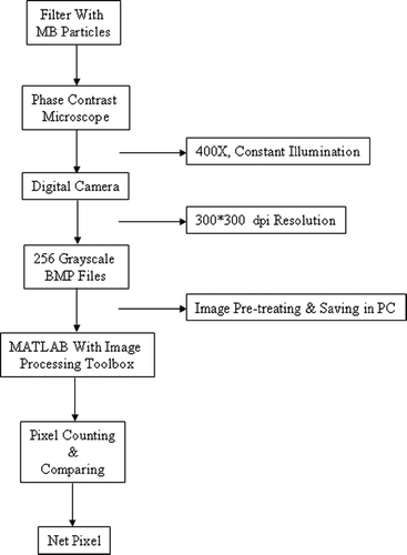 FIG. 2 The flow chart of image processing and particle counting.