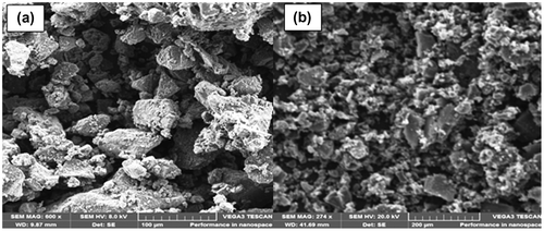 Figure 1. SEM micrograph of the (a) raw carbon black and (b) produced activated carbon (WT-AC-4).