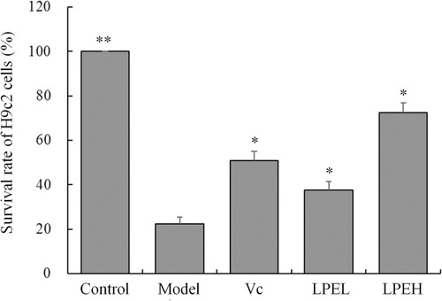 Figure 2 Effect of lemon peel on the survival rate of H9c2 cells with oxidative damage. *There was a significant difference between the experience group and the model group at the level of P < 0.05. **There was a significant difference between the experience group and the model group at the level of P < 0.01. Control: untreated H9c2 cells; model: H2O2-treated H9c2 cells; Vc: H2O2- and 100 μmol/L vitamin C-treated H9c2 cells; LPEL: H2O2- and 50 μmol/L LPE-treated H9c2 cells; LPEL: H2O2- and 100 μmol/L LPE-treated H9c2 cells.