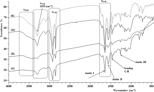 Figure 3. Fourier transform infrared (FT-IR) spectra of K, W, R and G silk.