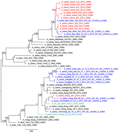 Fig. 5 Phylogenetic tree for the full-length hemagglutinin of H3N2 viruses isolated in a slaughterhouse in Vietnam in 2013–2014.The trees were constructed with PhyML. Branch support aLRT statistics were shown at major nodes with values larger or equal to 0.8. GenBank accession numbers of retrieved sequences are indicated. Red: sequences from our study; blue: sequences from Takemae et al.Citation28; green: viruses from Vietnam from other studies including H1N1pdm09 from NIHE; black: other sequences from GenBank