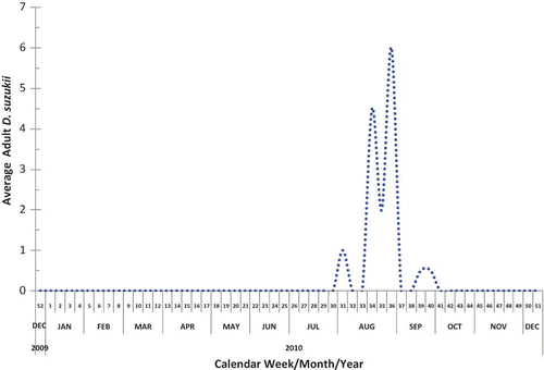 FIGURE 2 Average number of male D. suzukii flies captured weekly in two traps at University of Florida GCREC, eastern Hillsborough Co., Florida (color figure available online).