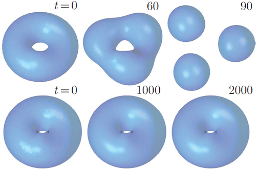 Figure 9. Isosurface density plots, at levels |ψ1,2|2 = 0.1 and |ψ1,2|2 = 0.5 in the top and bottom row, respectively, which demonstrate unstable and stable evolution of 3D symmetric (ψ1=ψ2) vortex QDs with winding numbers m1,2=1, produced by simulations of EquationEquations (54)(54) i∂ψ1∂t=−12∇2ψ1+(|ψ1|2+gLHY|ψ1|3)ψ1−g|ψ2|2ψ1,(54) and (Equation55(55) i∂ψ2∂t=−12∇2ψ2+(|ψ2|2+gLHY|ψ2|3)ψ2−g|ψ1|2ψ2,(55) ) with gLHY=0.50 and g = 1.75. Chemical potentials of the unstable and stable solutions are, respectively, μ1,2=−0.04 and μ1,2=−0.16. The figure is borrowed from Ref [Citation50].