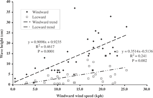 Figure 3. Reduction in wave height from the windward side to leeward side of the four common reed stands in relation to windward wind speed.