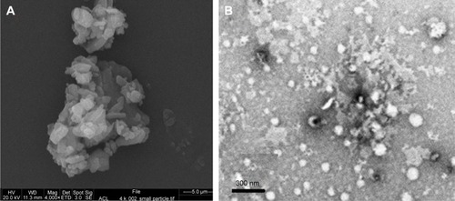 Figure 3 Scanning electron micrographs of unprocessed aceclofenac (A) and transmission electron micrographs of aceclofenac nanocrystals (B).