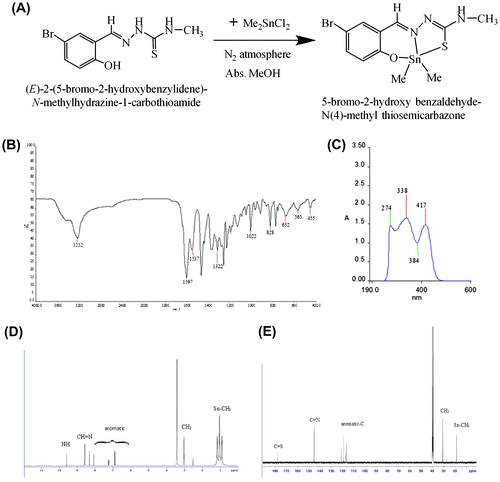 Figure 1. (A) Synthesis of dimethyl tin(IV): 5-bromo-2-hydroxy benzaldehyde-N(4)-methyl thiosemicarbazone; (B) IR spectrum; (C) UV-visible spectrum of dimethyltin(IV)-N(4)-methylthiosemicarbazone complex; (D) 1H NMR spectrum; (E) 13C NMR spectrum.