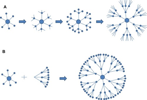 Figure 4 Different methods used in dendrimer formation. (A) Divergent and (B) convergent approaches for dendrimer preparation.Notes: Adapted with permission from Crespo L, Sanclimens G, Pons M, Giralt E, Royo M, Albericio F. Peptide and amide bond-containing dendrimers. Chem Rev. 2005;105(5):1663–1681.Citation61 Copyright (2005) American Chemical Society.